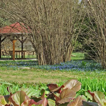 Tarjanyi Vendeghaz *