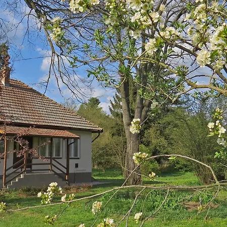 Tarjanyi Vendeghaz Gasthuis Recsk